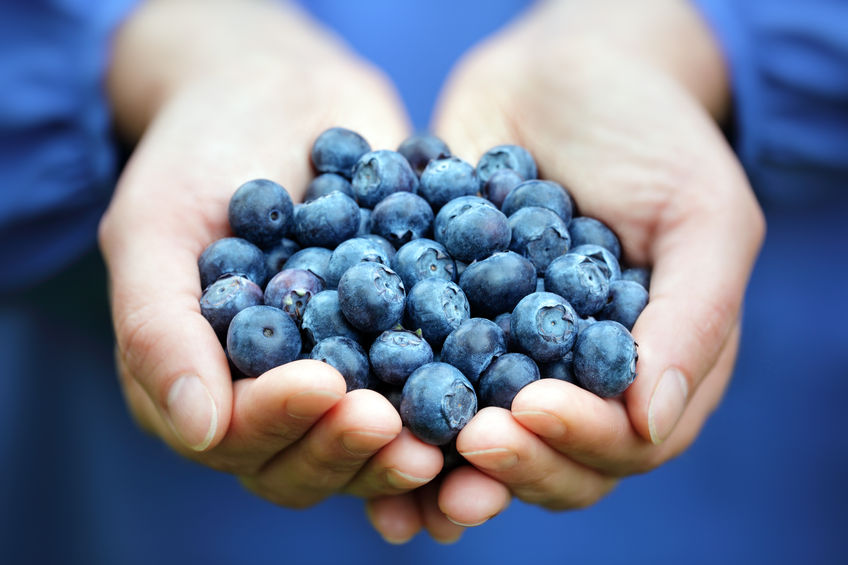 Blueberries: small but mighty