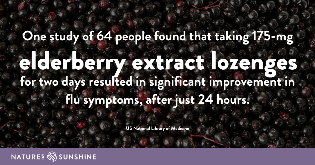 Elderberry for flu symptoms