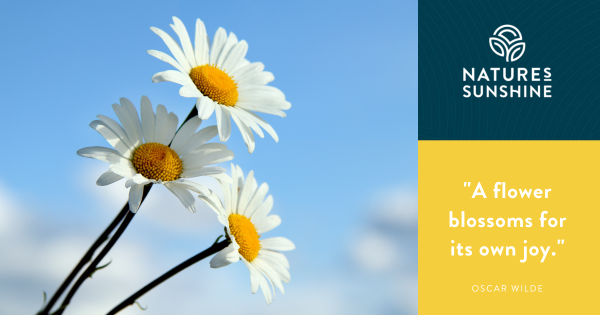Bloom in your own way