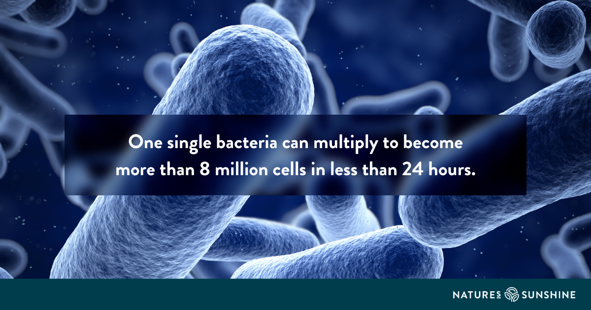 Germs: small but mighty